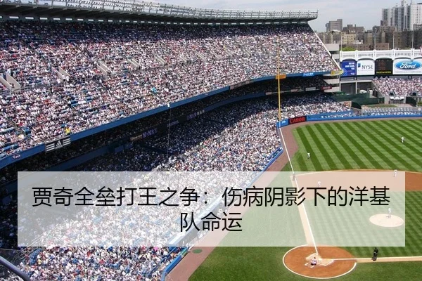 jia-qi-quan-lei-da-wang-zhi-zheng-shang-bing-yin-ying-xia-de-yang-ji-dui-ming-yun-2-279.jpg