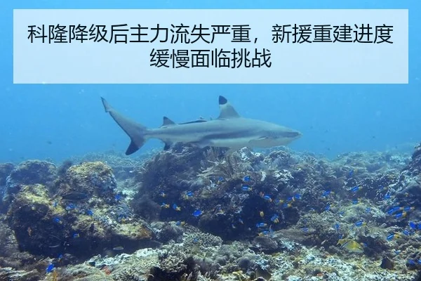 科隆降级后主力流失严重，新援重建进度缓慢面临挑战