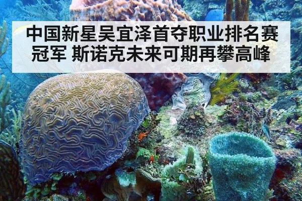 中国新星吴宜泽首夺职业排名赛冠军 斯诺克未来可期再攀高峰